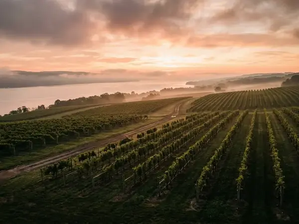 A Weekend Itinerary for Exploring the Finger Lakes Wine Region