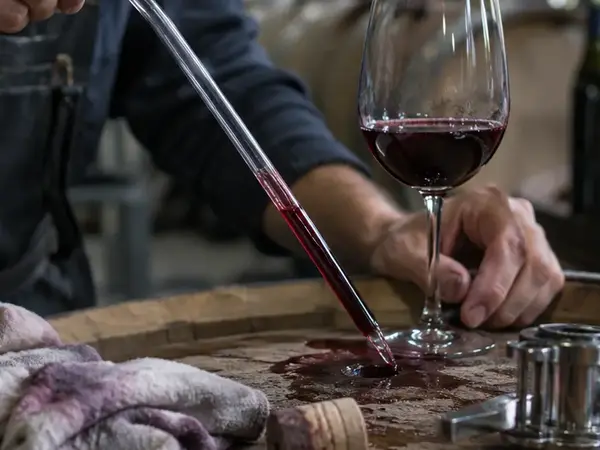 Exceptional Winery Restaurants Where the Menu Rivals the Cellar